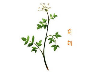 粟裕名言名句摘抄_粟裕大将经典语录