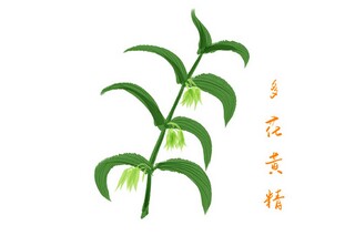 诚信在我身边作文(诚信在我身边作文怎么写)