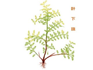 产科实习的自我鉴定范文_产科护士毕业实习自我鉴定-实习自我鉴定