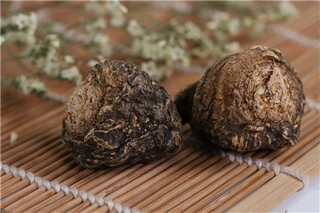 求职的简历_求职的简历如何制作