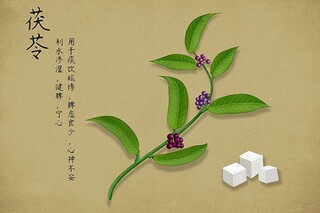 平凡的母亲作文_平凡的母亲作文400字