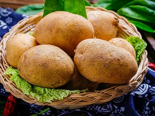 《 采桑子群芳过后西湖好》欧阳修全诗(采桑子群芳过后西湖好注音版)