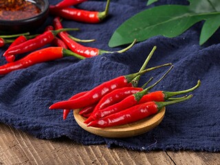 精彩的运动会作文_精彩的运动会