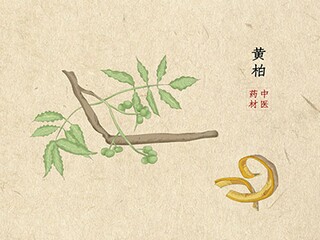 二年级下册语文教学工作计划_部编版二年级下语文教学工作计划