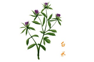 我的第一次经历六年级作文_我的第一次的经历作文600字