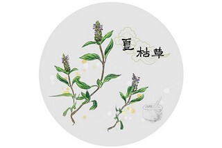 村级文体活动总结_村委会文体活动总结