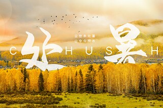 爱一个人的句子(爱一个人的句子暖心短句)